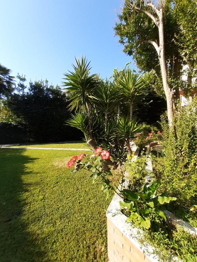 La Gran Dama Bed and Breakfast Roseto Degli Abruzzi Exteriör bild